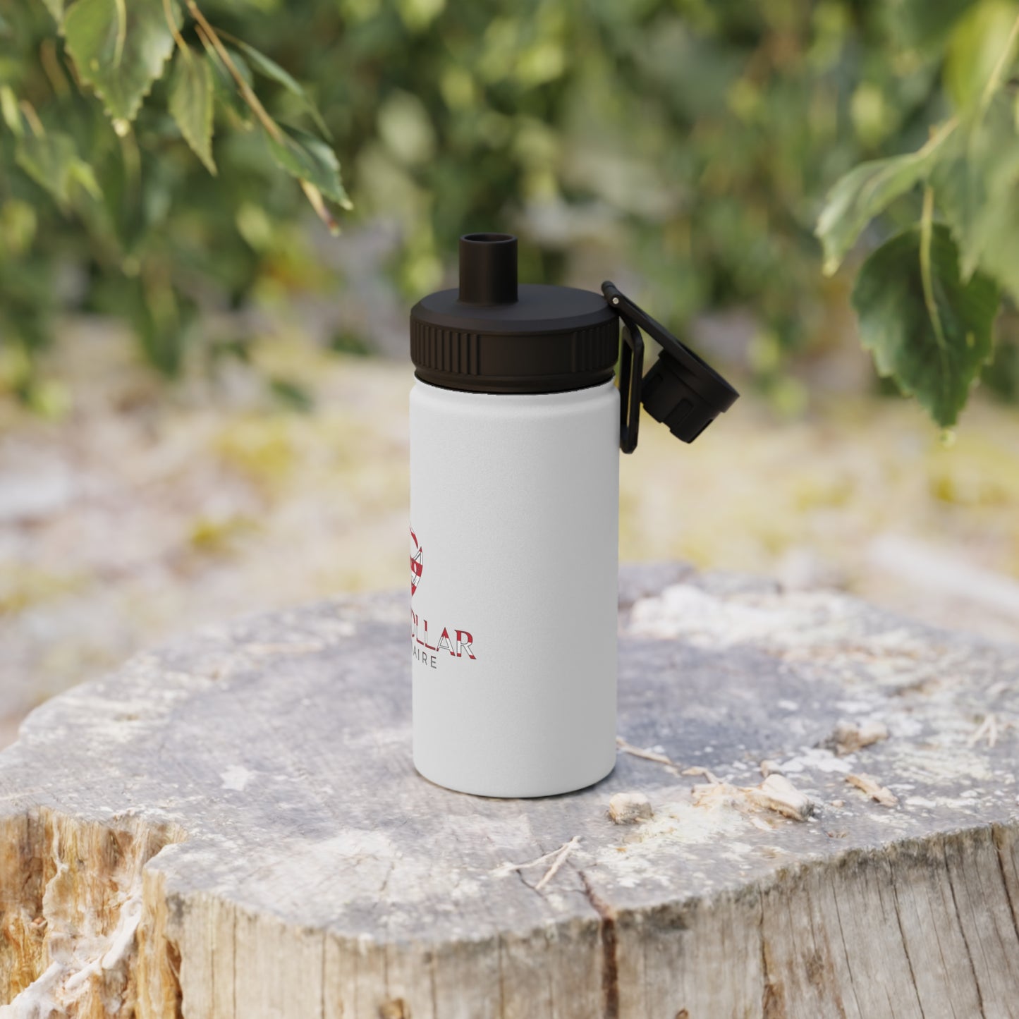 Stainless Steel Water Bottle, Sports Lid